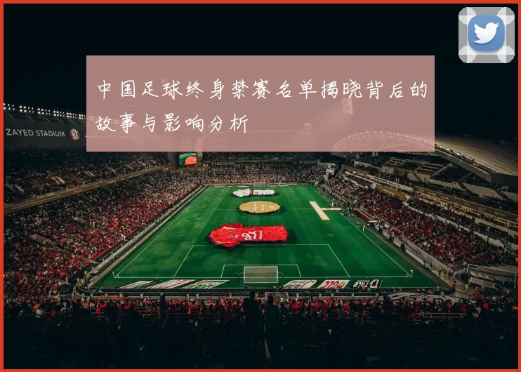 中国足球终身禁赛名单揭晓背后的故事与影响分析