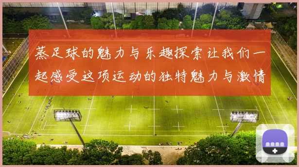 蒸足球的魅力与乐趣探索让我们一起感受这项运动的独特魅力与激情