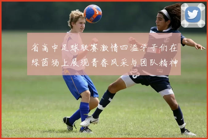 省高中足球联赛激情四溢学子们在绿茵场上展现青春风采与团队精神